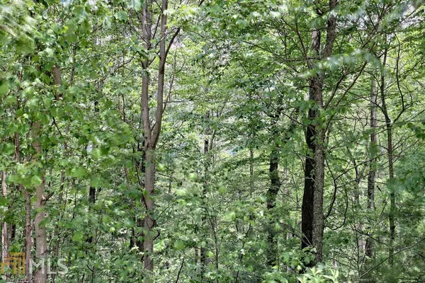 $45,000 | 0 Deep Woods, Unit LOT 9, Dillard, GA 30537