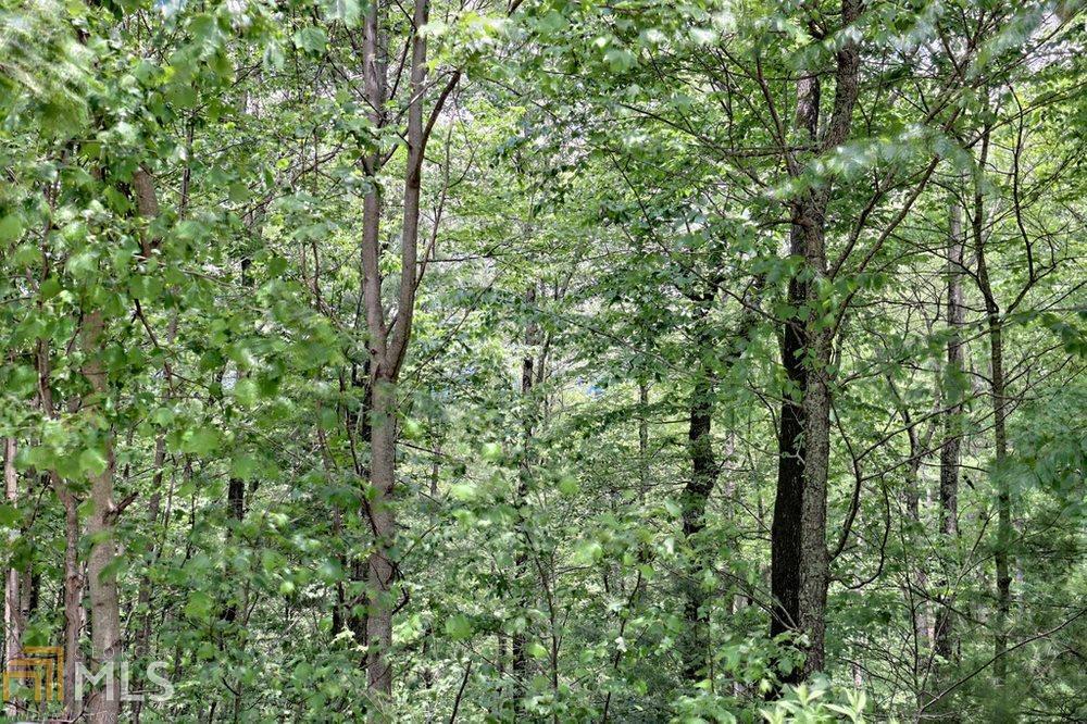 0 Deep Woods, Unit LOT 9 Dillard, GA 30537 - Photo 5 of 14