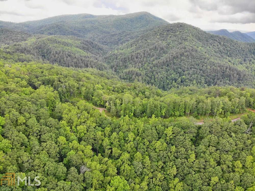 0 Deep Woods, Unit LOT 9 Dillard, GA 30537 - Photo 10 of 14