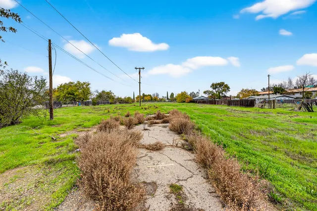 a view of a grassy field with an tree
