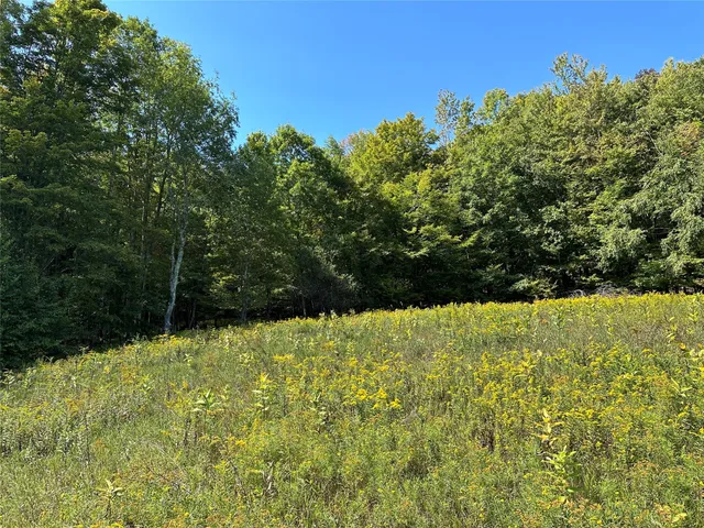a view of yard with green space