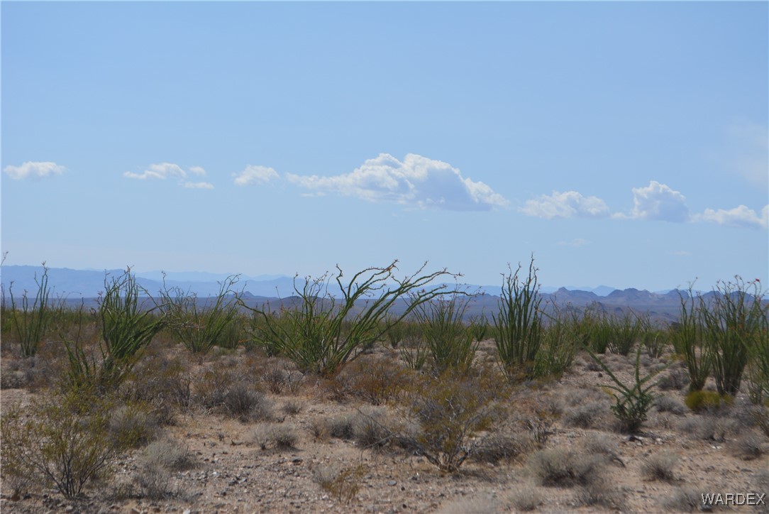 245-24-107 South Rainbow Road Yucca, AZ 86438 - Photo 72 of 91