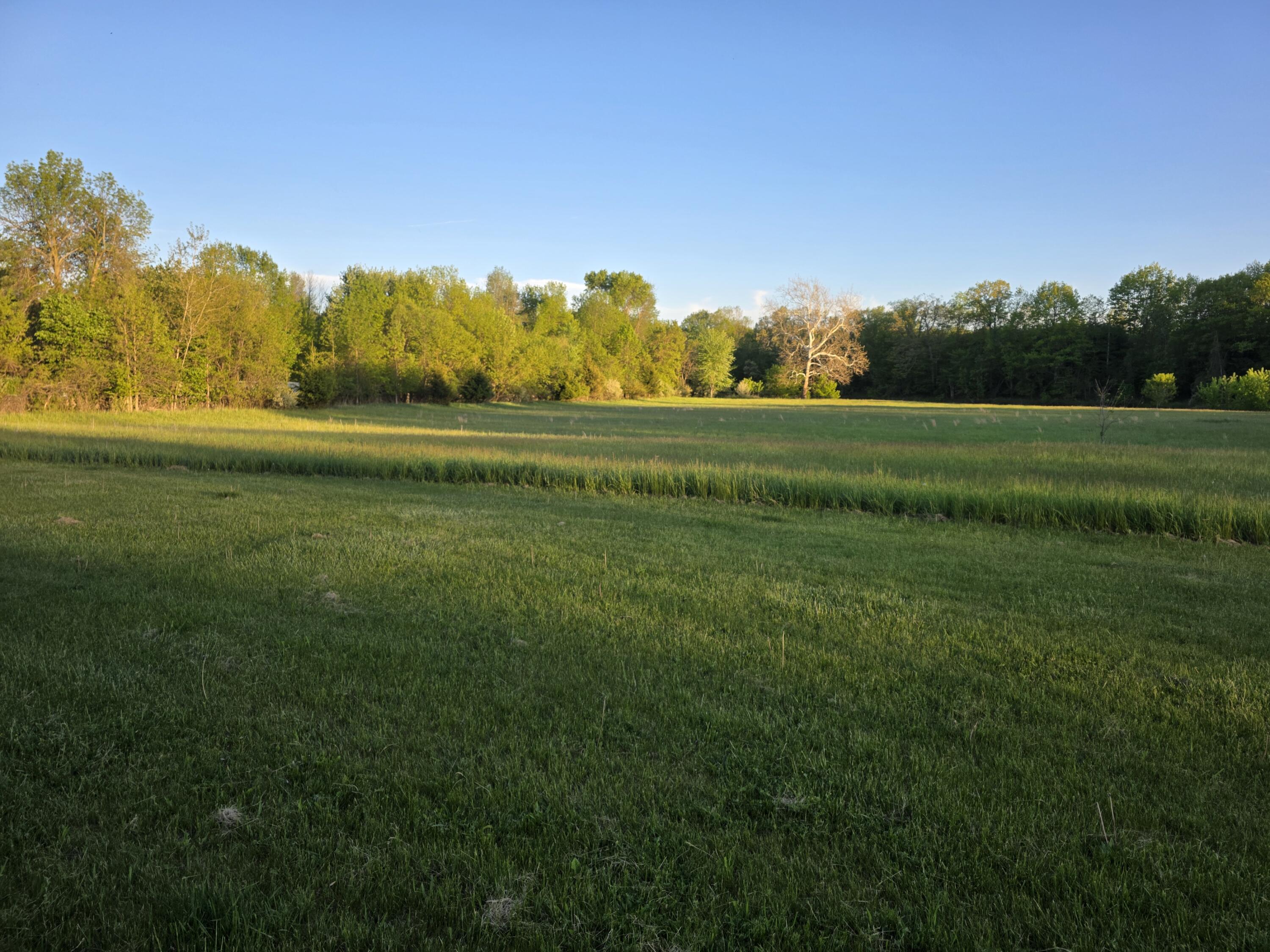 2021 West Pine River Road Breckenridge, MI 48615 - Photo 50 of 65 20260520_202216