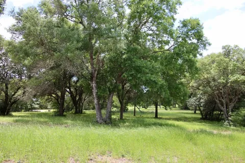 $875,000 | 31 Mallard Lane, Columbus, TX 78934