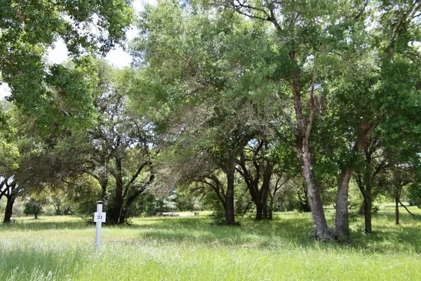 a view of outdoor space with deck and trees