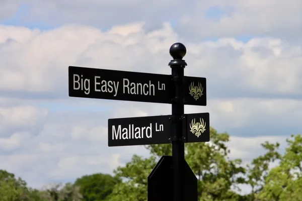 a street sign that is on a pole
