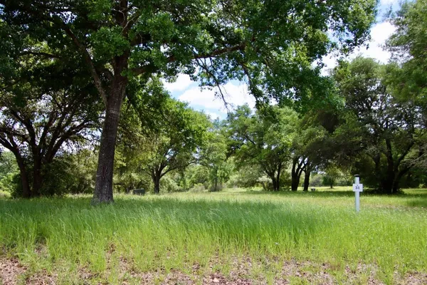 a view of park