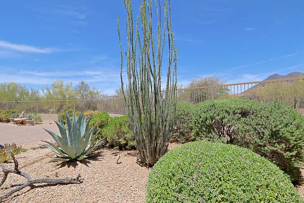 $6,000 | 34151 North 60th Place, Scottsdale, AZ 85266