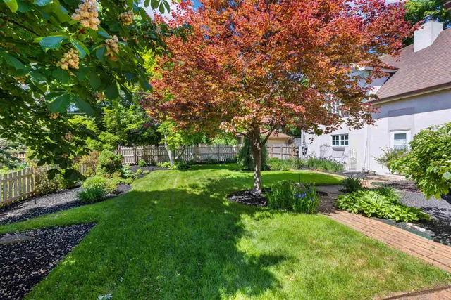 a view of yard with green space