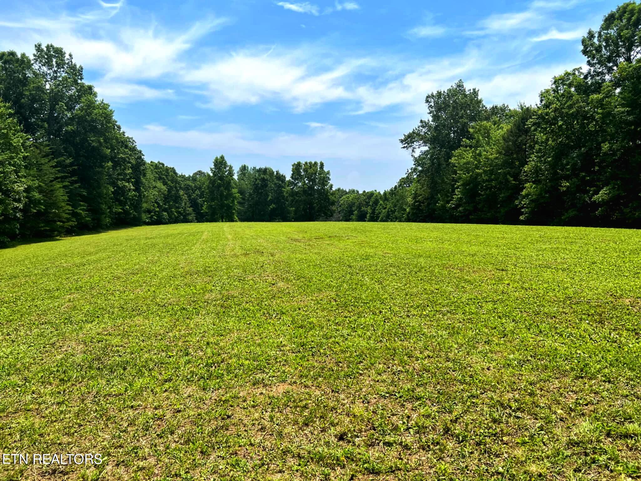 0 Old Gordon Road Grandview, TN 37337 - Photo 11 of 24 1000004088