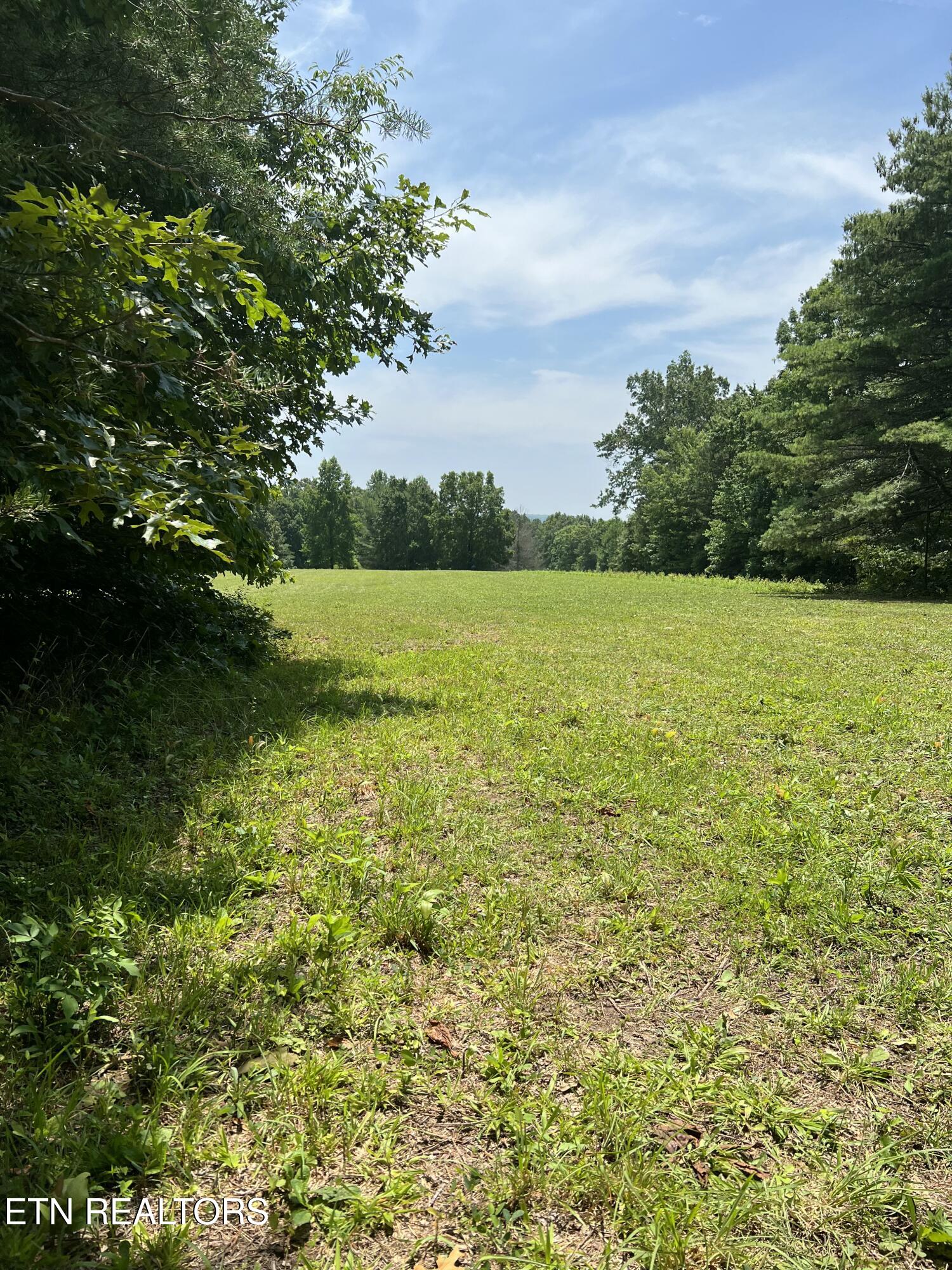 0 Old Gordon Road Grandview, TN 37337 - Photo 12 of 24 IMG_20250716_162525
