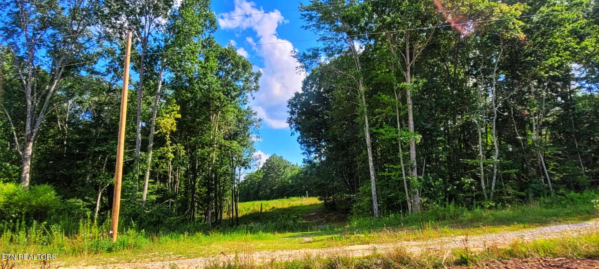 0 Old Gordon Road Grandview, TN 37337 - Photo 19 of 24 1000004059