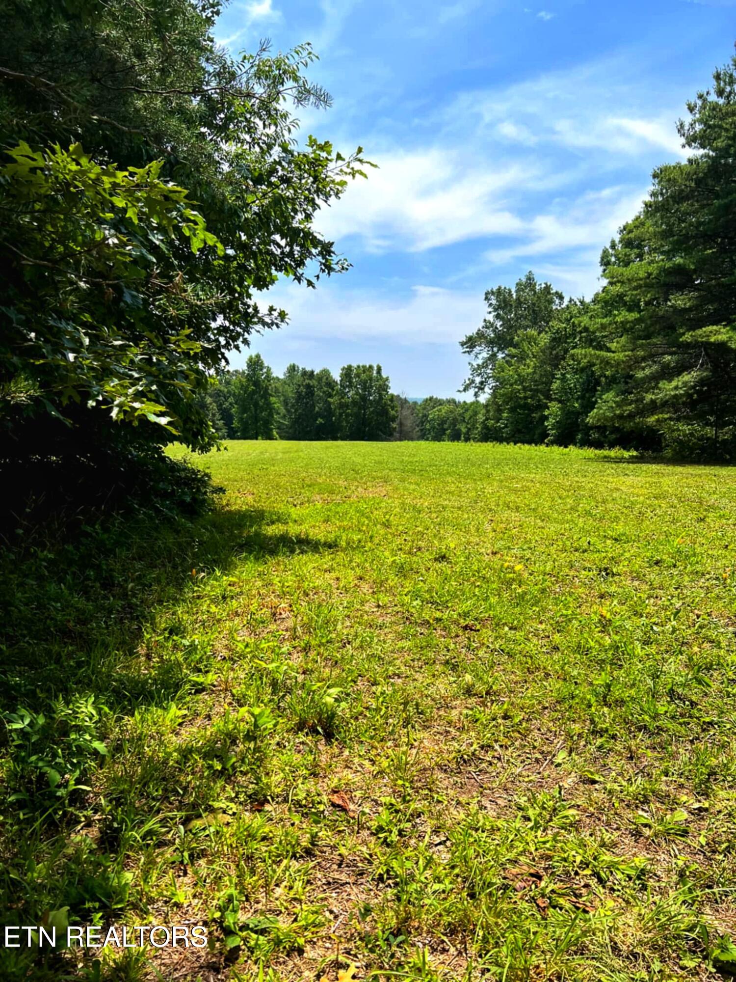 0 Old Gordon Road Grandview, TN 37337 - Photo 10 of 24 1000004090