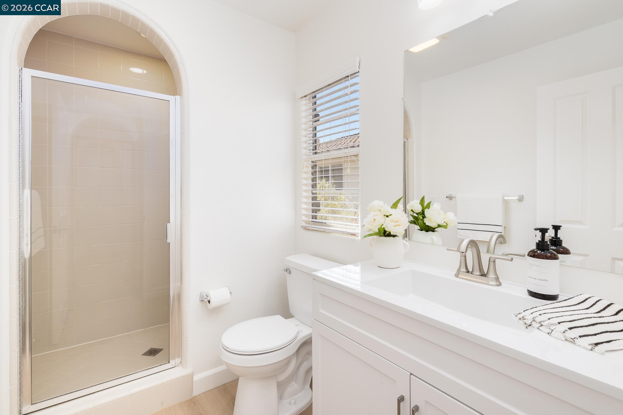 2359 Magnolia Bridge Drive San Ramon, CA 94582 - Photo 36 of 44 a bathroom with a sink a toilet and shower