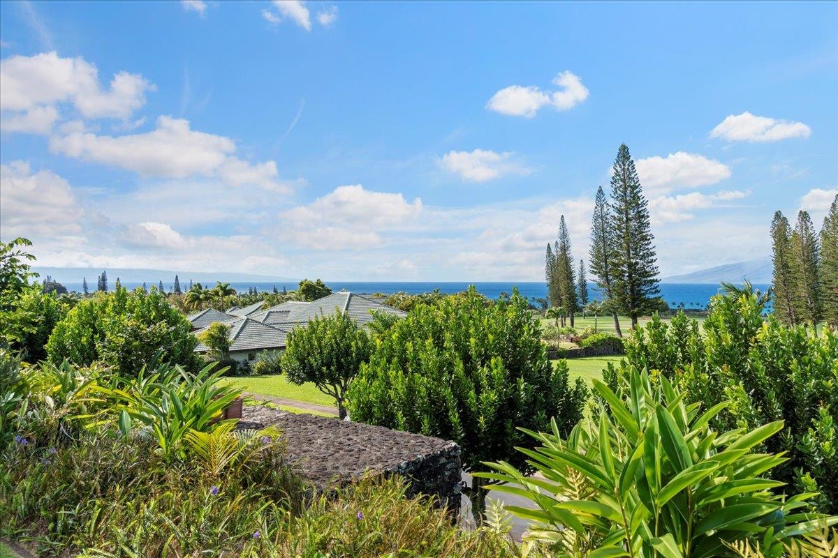 238 Crestview Road Lahaina, HI 96761 - Photo 22 of 48 a view of a city