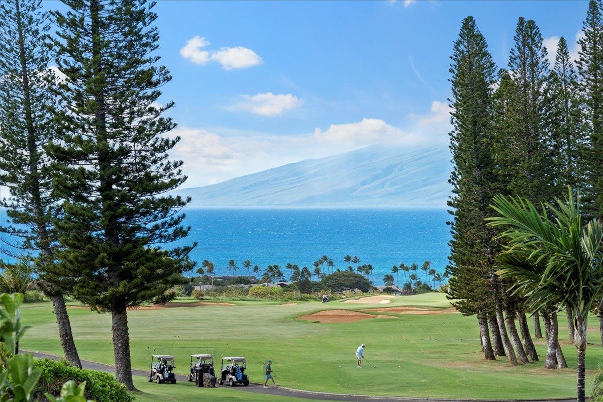 238 Crestview Road Lahaina, HI 96761 - Photo 8 of 48 a view of a lake with a big yard