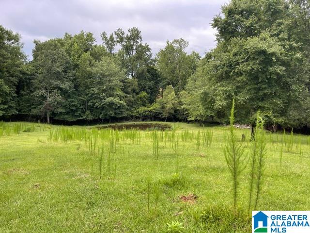 2829 Leander Road Daviston, AL 36256 - Photo 12 of 20