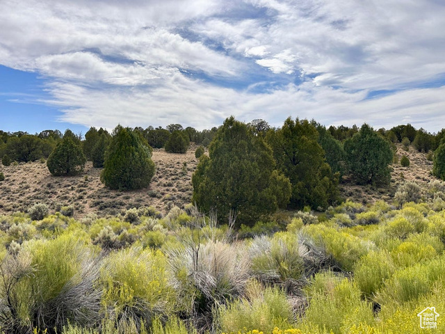 1730 East Eagle Circle Hatch, UT 84735 - Photo 2 of 14 View of nature featuring rural landscape