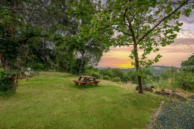 a view of a park with large trees