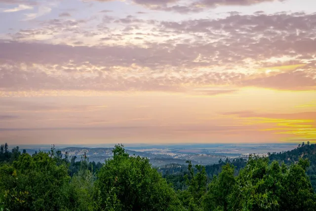 an aerial view of ocean and trees