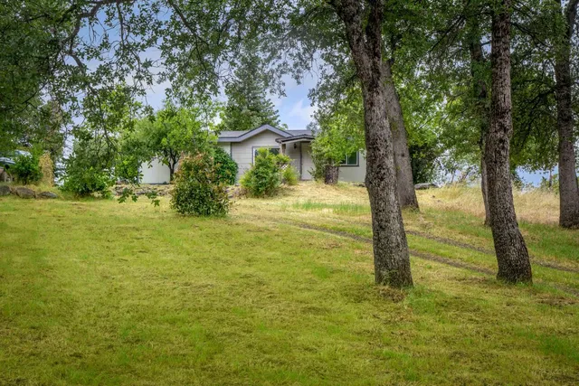 a view of a trees with yard