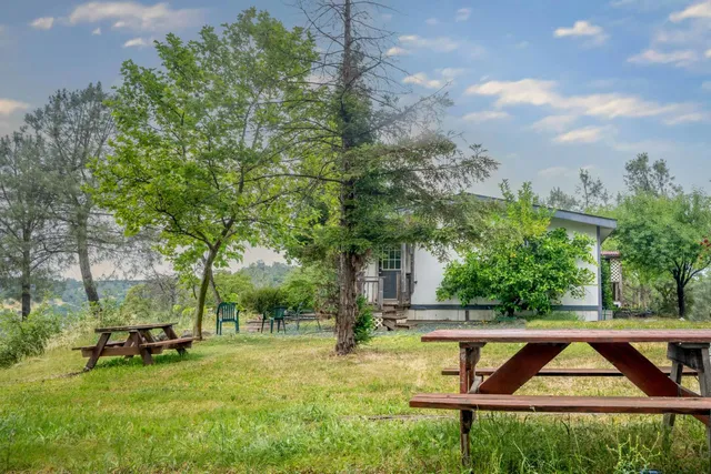 a view of backyard with table and chairs and potted plants
