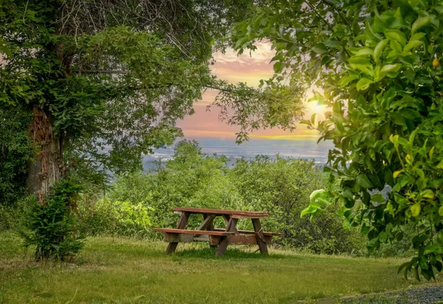 a view of a bench in the garden