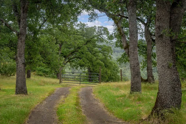 a view of outdoor space and yard