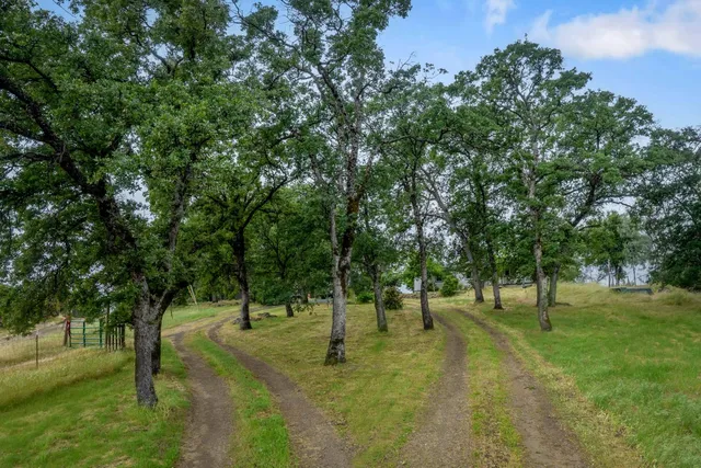 a view of an outdoor space