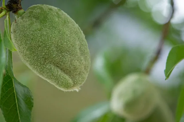 a close up of a sink