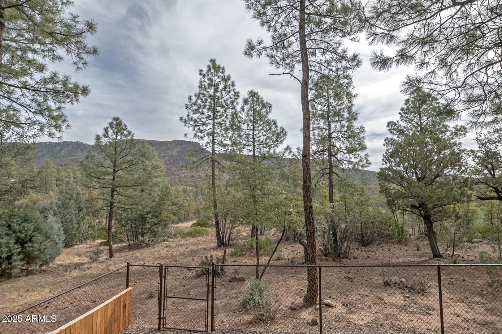 3465 Whispering Pines Road Pine, AZ 85544 - Photo 27 of 53 a view of a outdoor space
