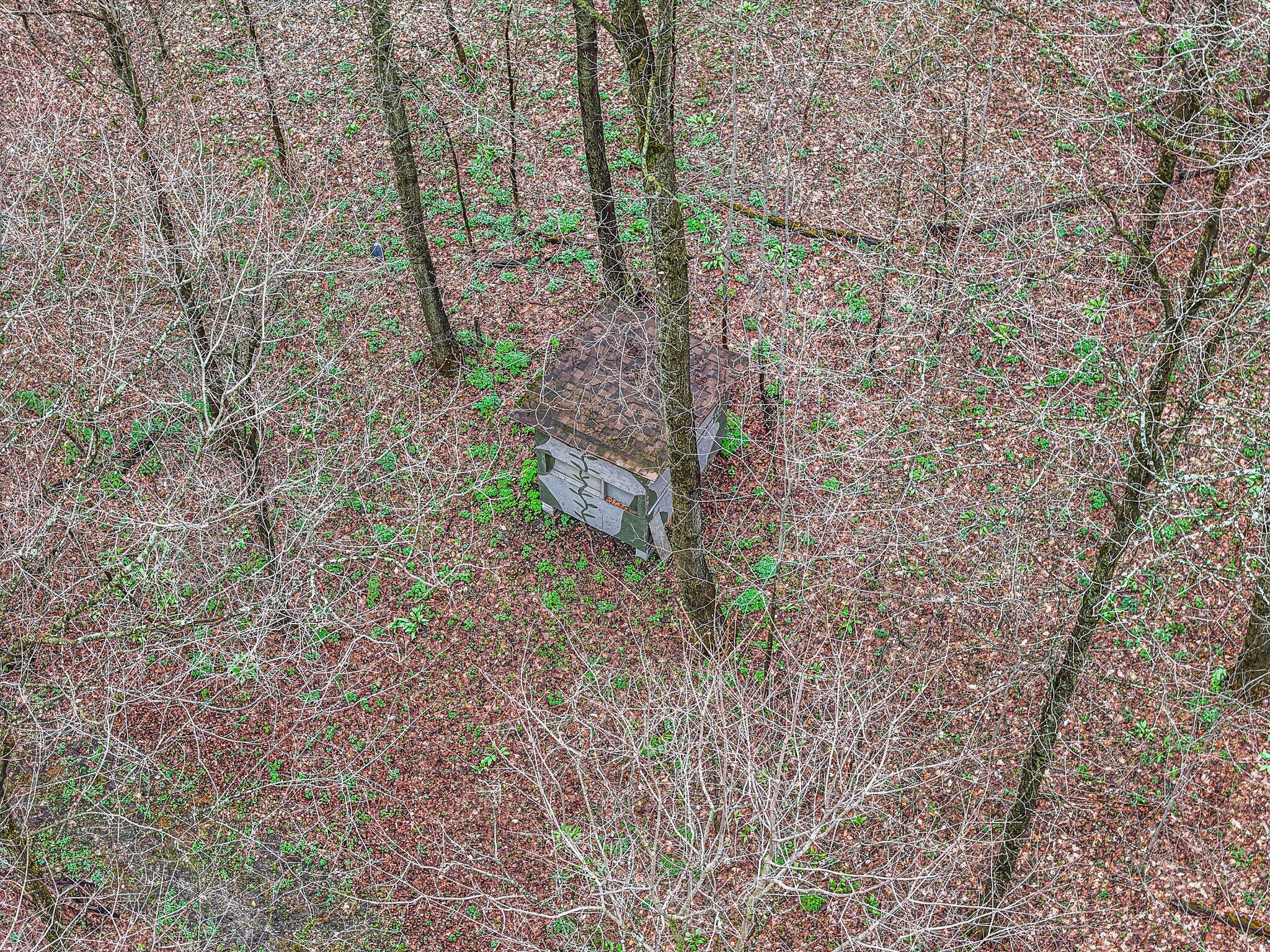 7947 West 30 Road Harrietta, MI 49638 - Photo 43 of 43 14-web-or-mls-DJI_20250501041508_0122_D