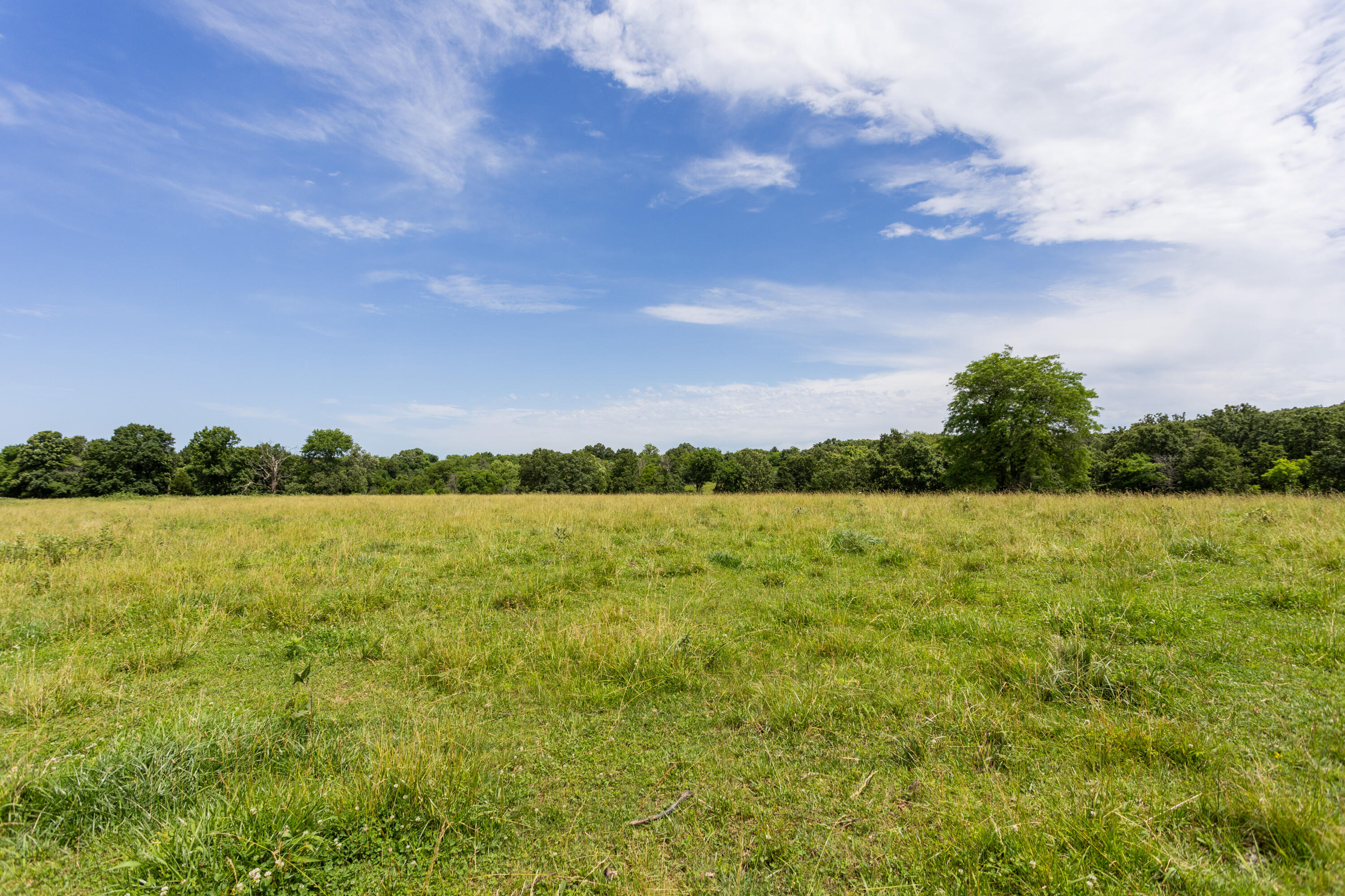 0 South 220th Road Half Way, MO 65663 - Photo 45 of 47 Polk 30_-19