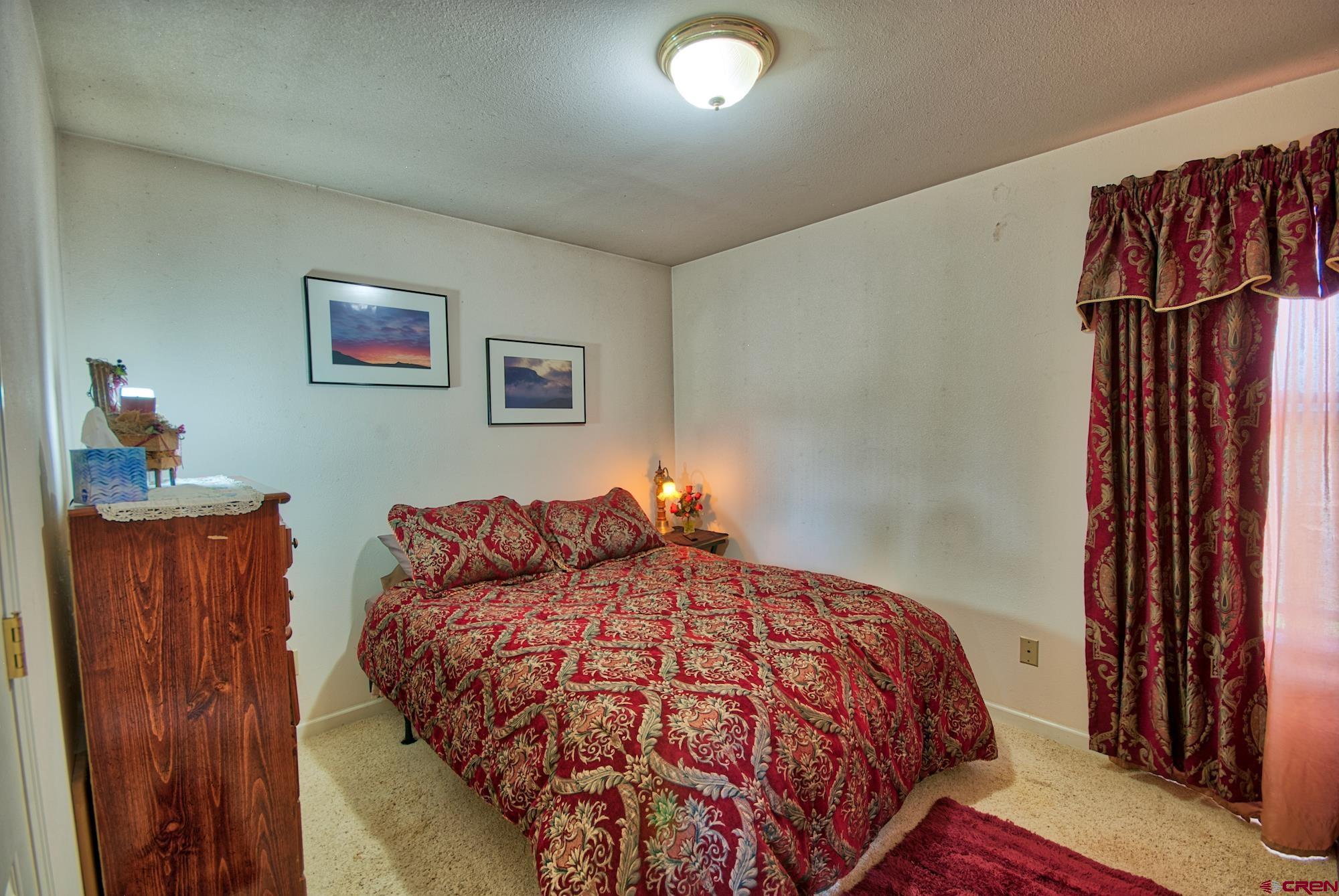 51755 KE Road Molina, CO 81646 - Photo 13 of 18