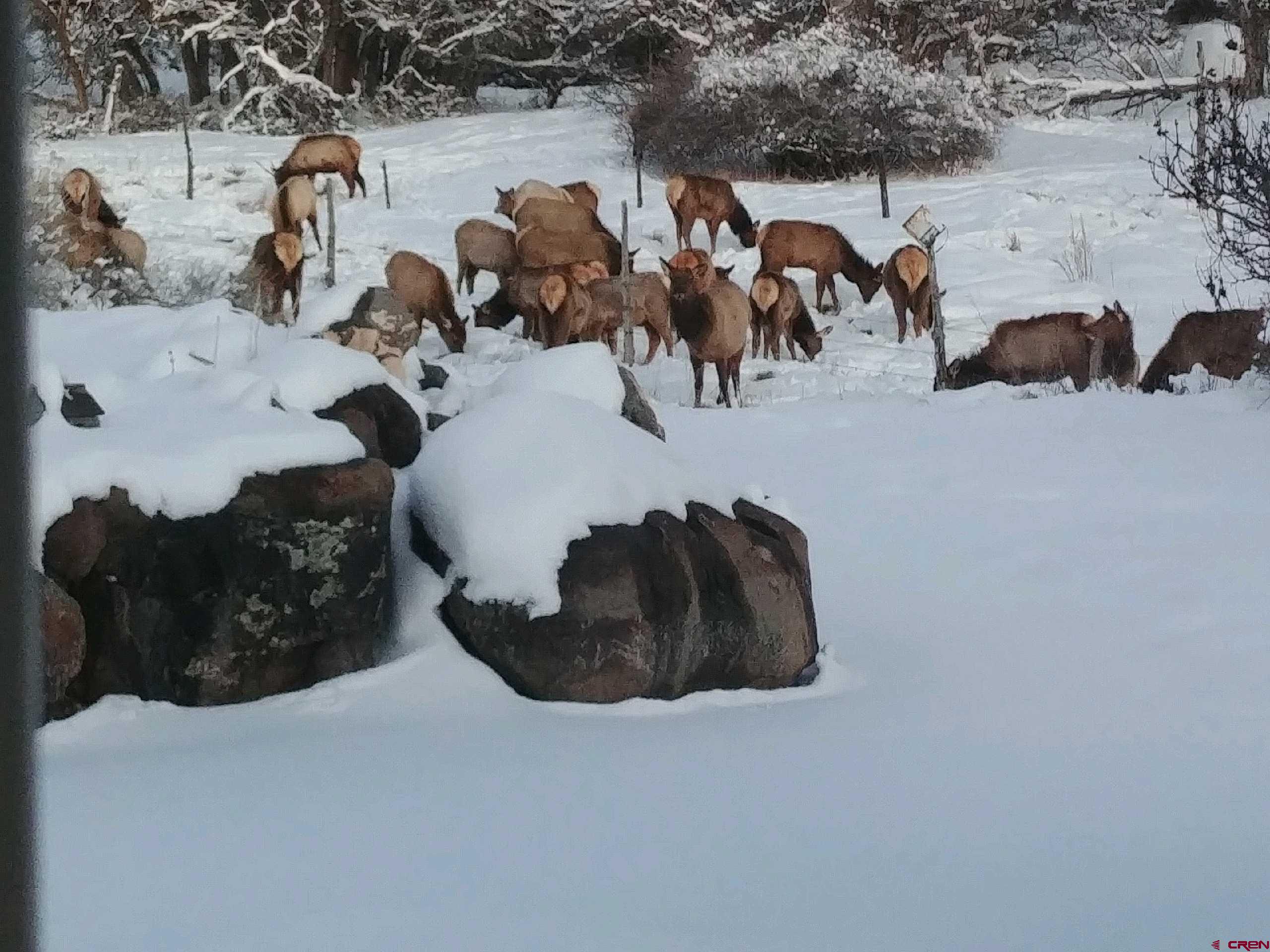 51755 KE Road Molina, CO 81646 - Photo 14 of 18