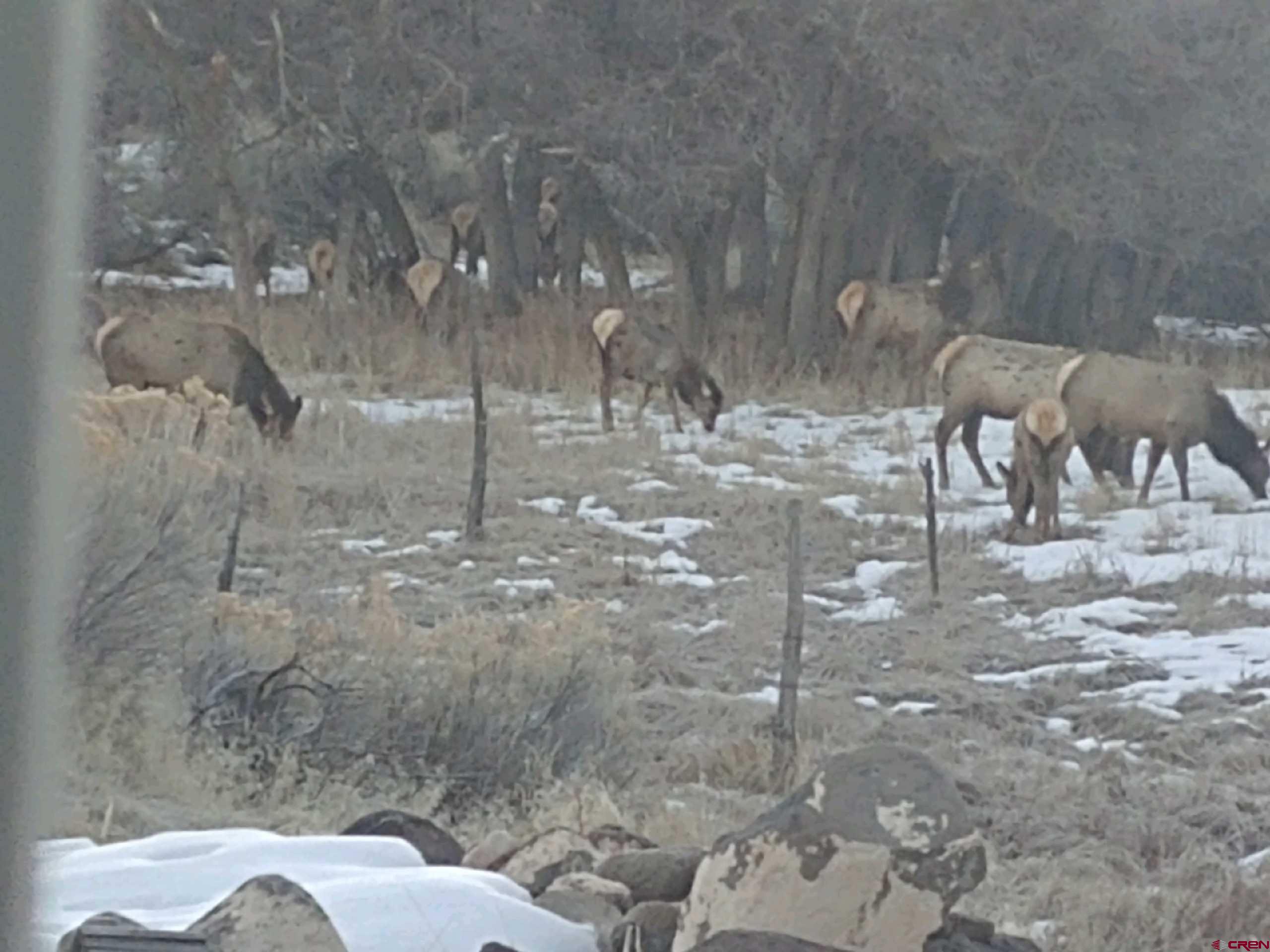 51755 KE Road Molina, CO 81646 - Photo 16 of 18