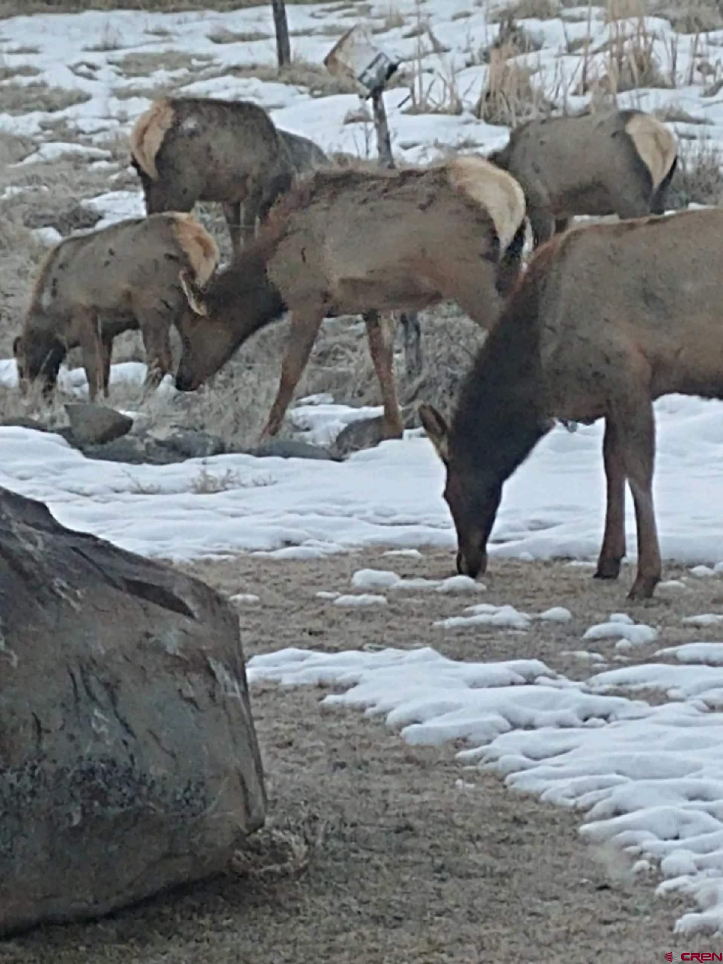 51755 KE Road Molina, CO 81646 - Photo 17 of 18