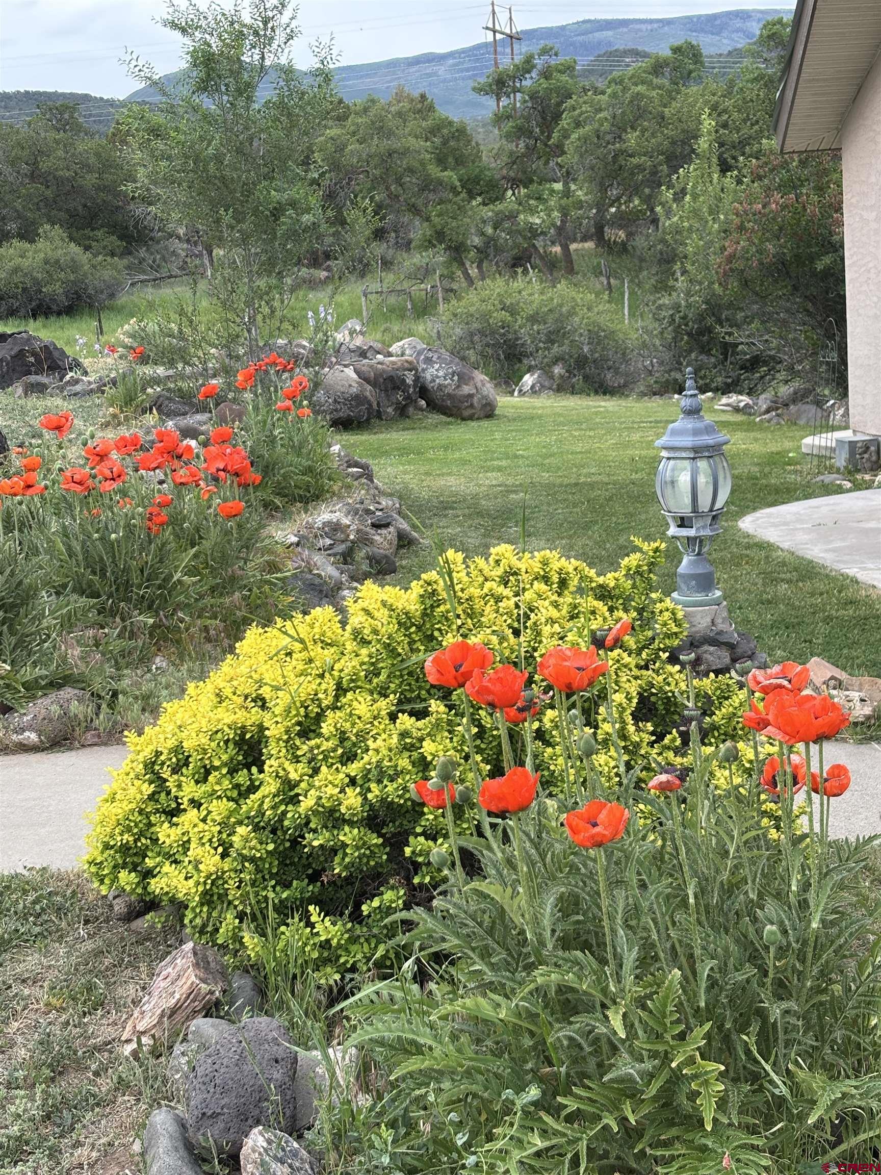 51755 KE Road Molina, CO 81646 - Photo 6 of 18