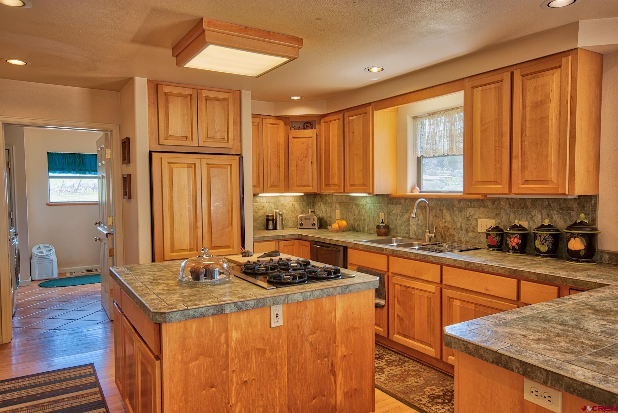 51755 KE Road Molina, CO 81646 - Photo 7 of 18