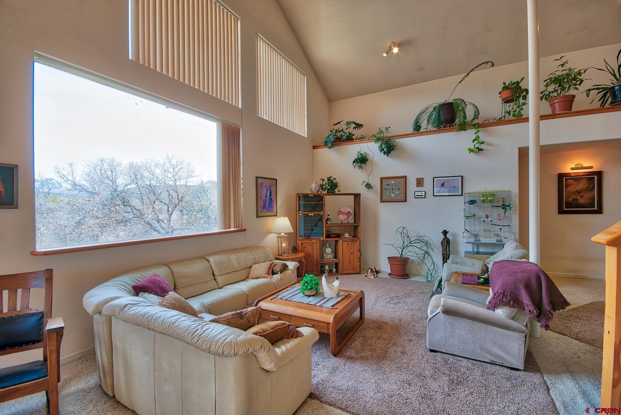 51755 KE Road Molina, CO 81646 - Photo 9 of 18