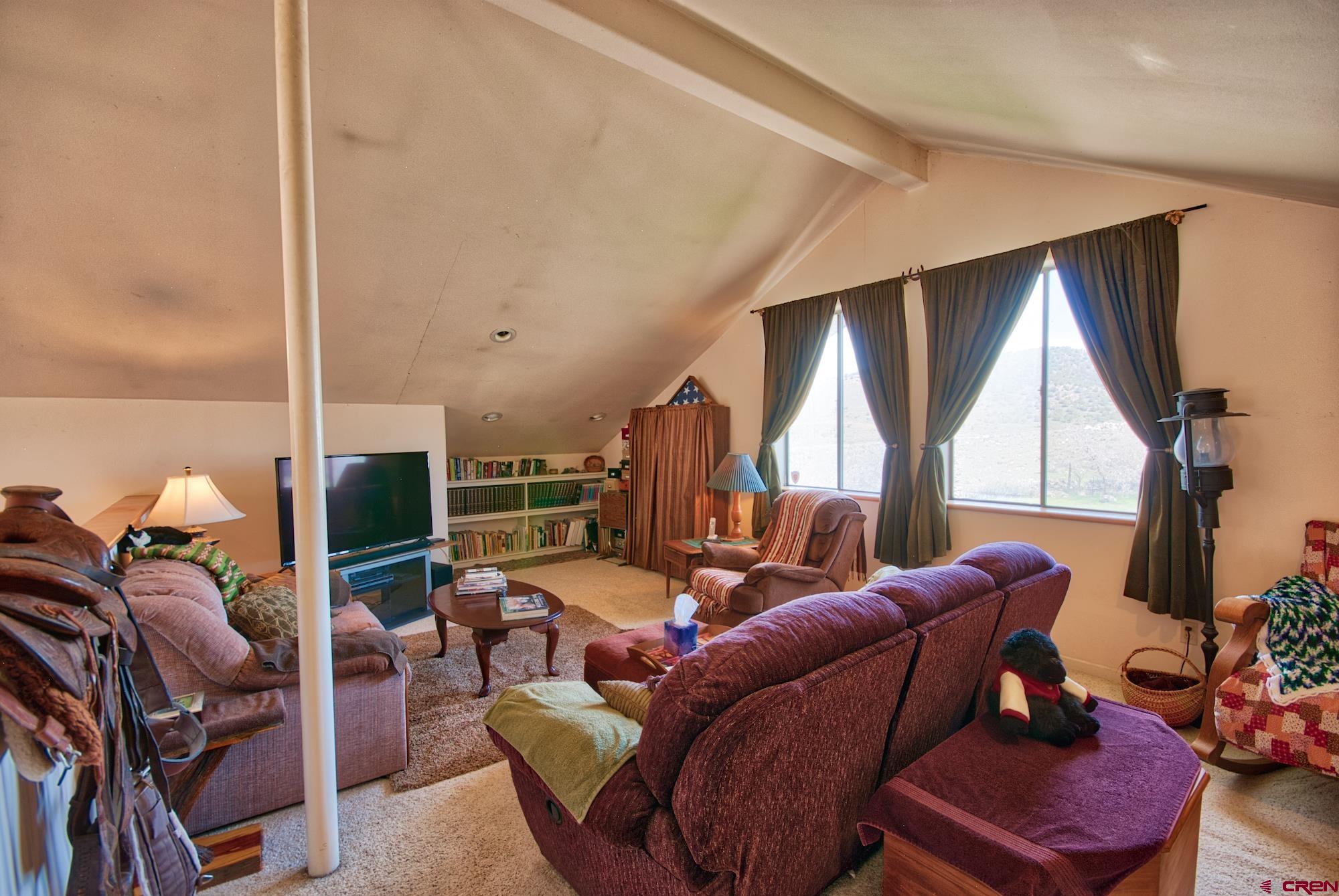 51755 KE Road Molina, CO 81646 - Photo 10 of 18