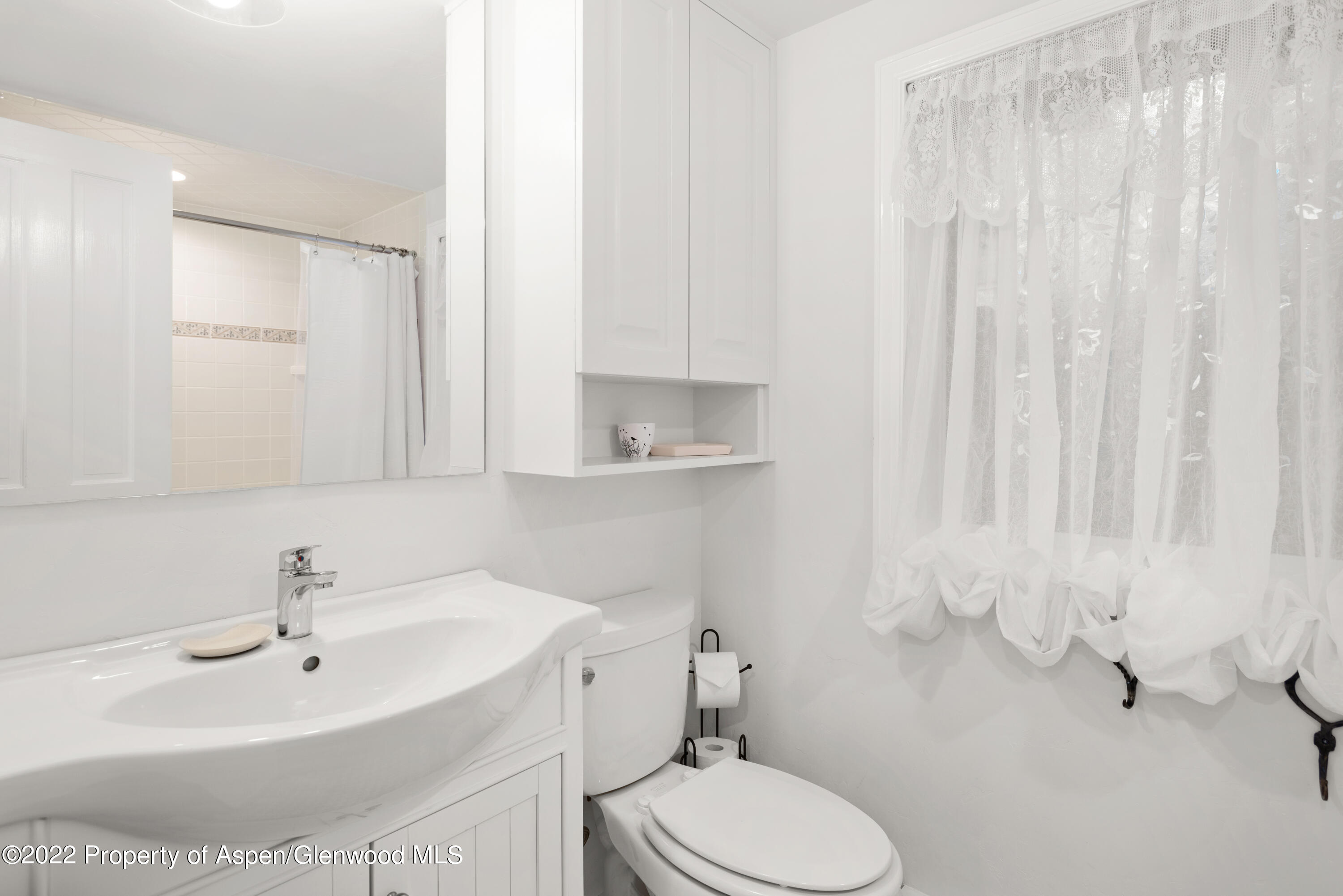 950 East Durant Avenue, Unit 2 Aspen, CO 81611 - Photo 12 of 14 a bathroom with a sink a toilet and vanity