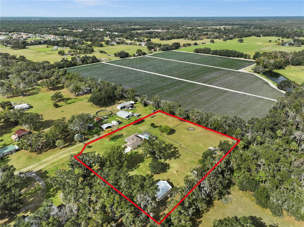 11114 Holstein Road Lithia, FL 33547 - Photo 64 of 67 Gallery Image 64