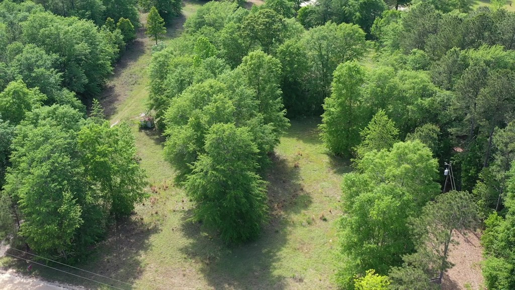 3758 Chalker Road Thomson, GA 30824 - Photo 3 of 17