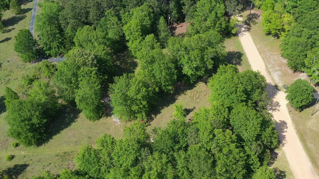 3758 Chalker Road Thomson, GA 30824 - Photo 8 of 17