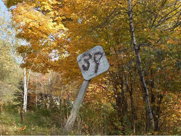 39 Lee Hill Road Stark, NH 03582 - Photo 2 of 34