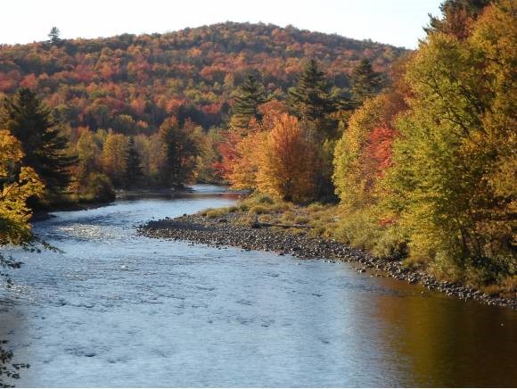 39 Lee Hill Road Stark, NH 03582 - Photo 20 of 34