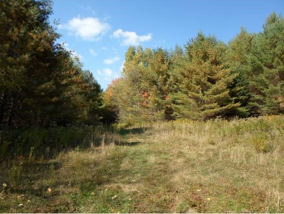 39 Lee Hill Road Stark, NH 03582 - Photo 6 of 34