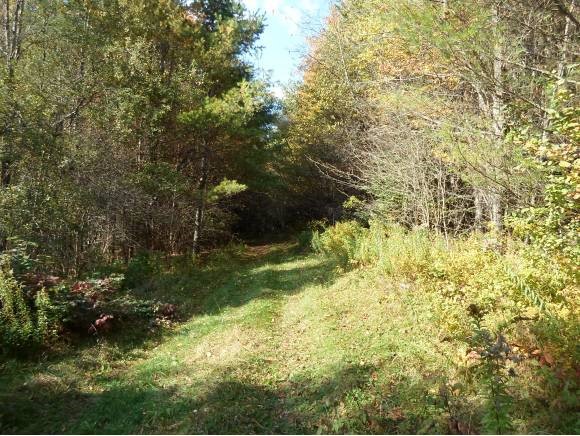 39 Lee Hill Road Stark, NH 03582 - Photo 7 of 34