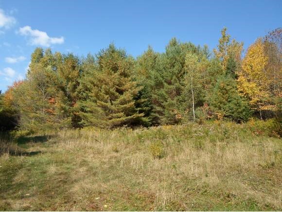 39 Lee Hill Road Stark, NH 03582 - Photo 9 of 34